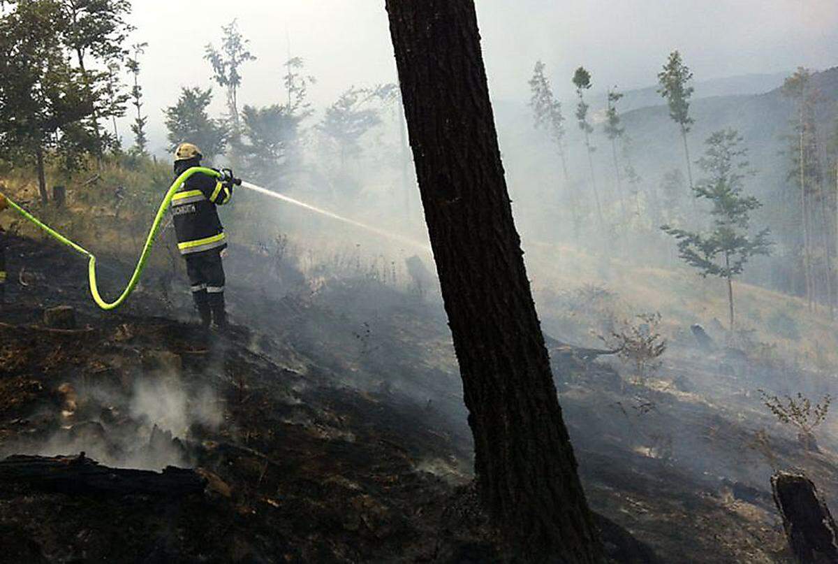 Aufgrund der zu erwartenden sommerlichen Trockenperioden wird die Waldbrandgefahr in den kommenden Jahrzehnten zunehmen.
