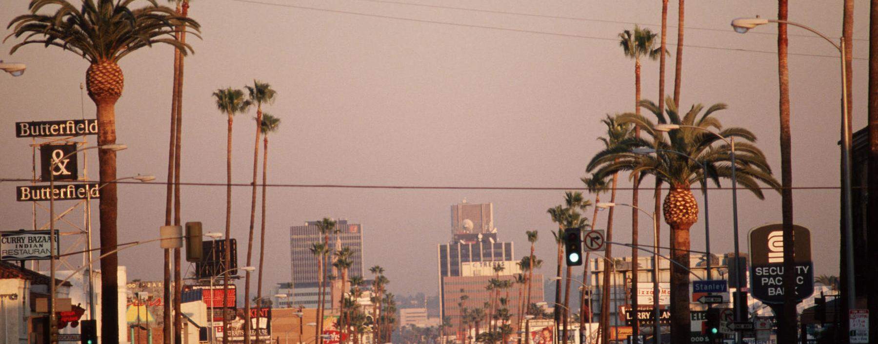 Sunset Boulevard / Los Angeles