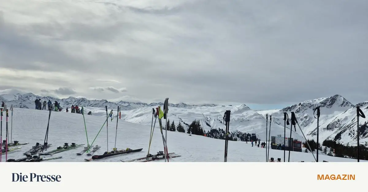 Wegweiser-durch-den-heimischen-Schnee-premium-