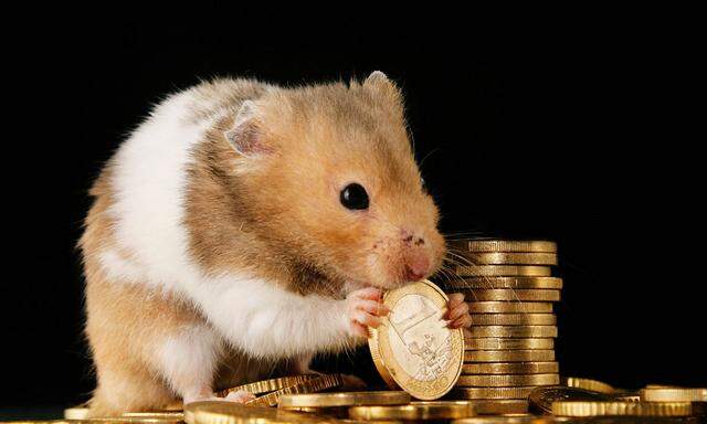 Geld hamstern