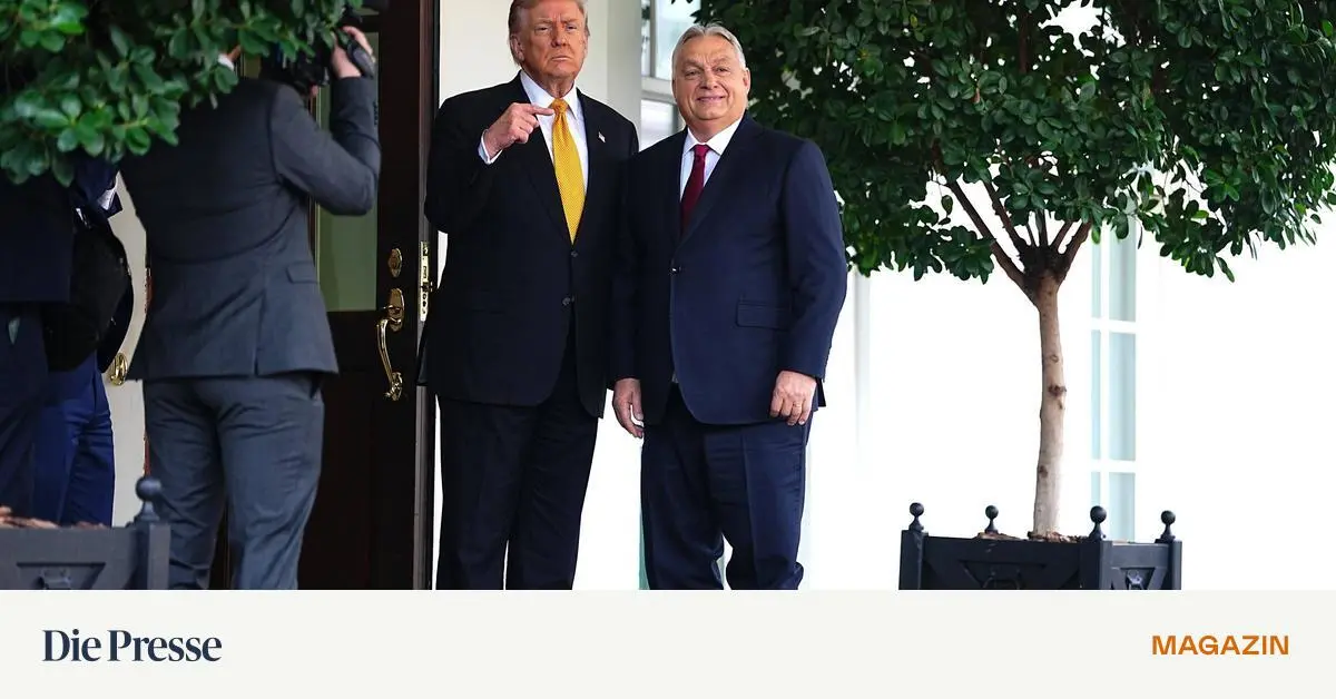 -Die-USA-haben-gro-artige-Partner-in-sterreich-premium-