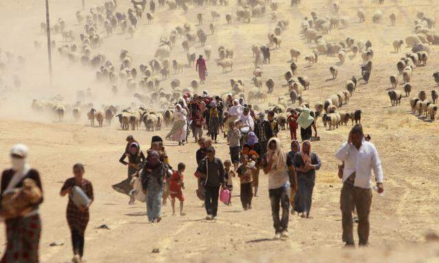 Auf der Flucht vor den IS-Jihadisten. Zehntausende Jesiden wurden vor fünf Jahren aus ihren Dörfern im Nordirak vertrieben. 