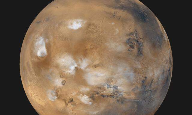 Ist das Leben doch auf dem Mars entstanden?