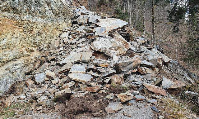 ++ HANDOUT ++ SALZBURG: FELSSTURZ IM PINZGAU: METERHOHE SCHUTTHALDE BLOCKIERT STRASSE