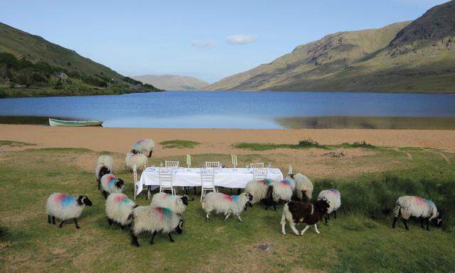 Landschaftskunst: Dieser Lough (gesprochen Luch) in der Connemara heißt Inagh, das Kunstprojekt „Baa Baa“ wird dort im Mai mit Schafen spielen.