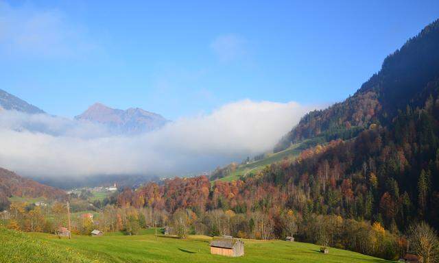 Es wird braun, rot, gelb, Herbst. Guess where...