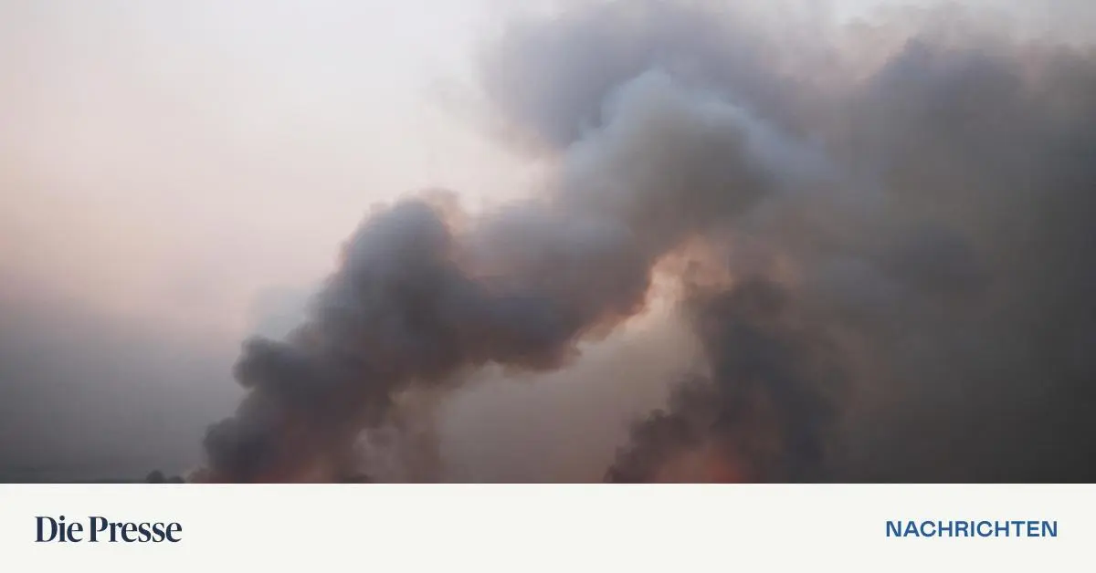 Studie-Risiko-von-Hitzewellen-mit-schweren-Waldbr-nden-durch-Klimawandel-vervierzigfacht