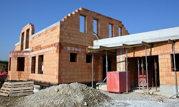 SPoeKlausur Kritik Dschungel Mietvertraegen