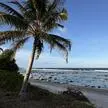 Die Phosphatvorkommen der Tropeninsel Nauru wurden ausgebeutet.