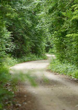 Die Natur in der Lobau müsse geschützt werden, sagt Gewessler.