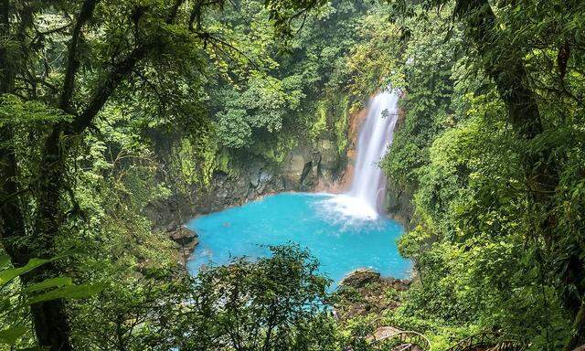 Im üppigen Regenwald des Tenorio Nationalparks stürzt der Rio Celeste Wasserfall in sein türkisblaues Wasserbecken.