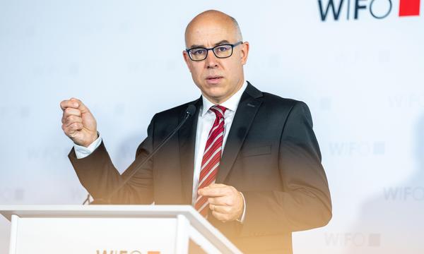 Wifo-Chef Gabriel Felbermayr fordert mehr Solidarität von den deutschen Nachbarn. 
