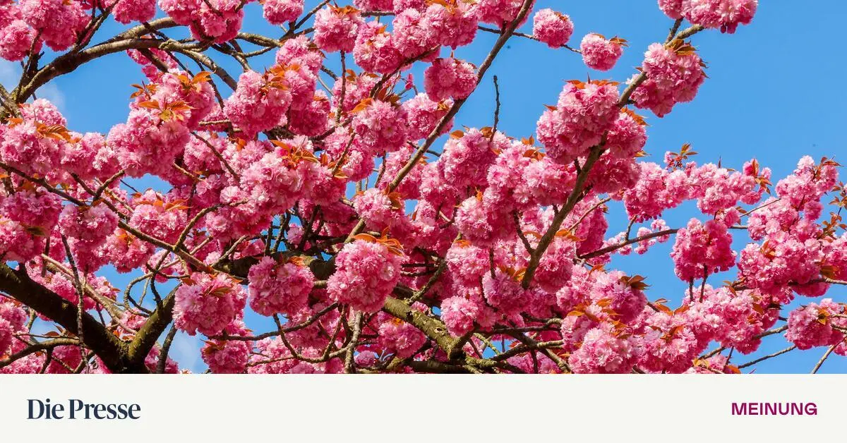 Fenster-zu-sonst-droht-der-Wahnsinn-premium-