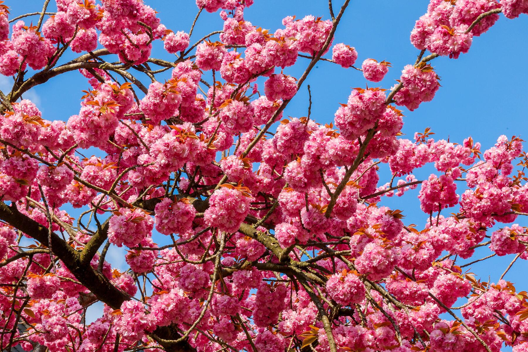 Fenster zu, sonst droht der Wahnsinn  [premium]