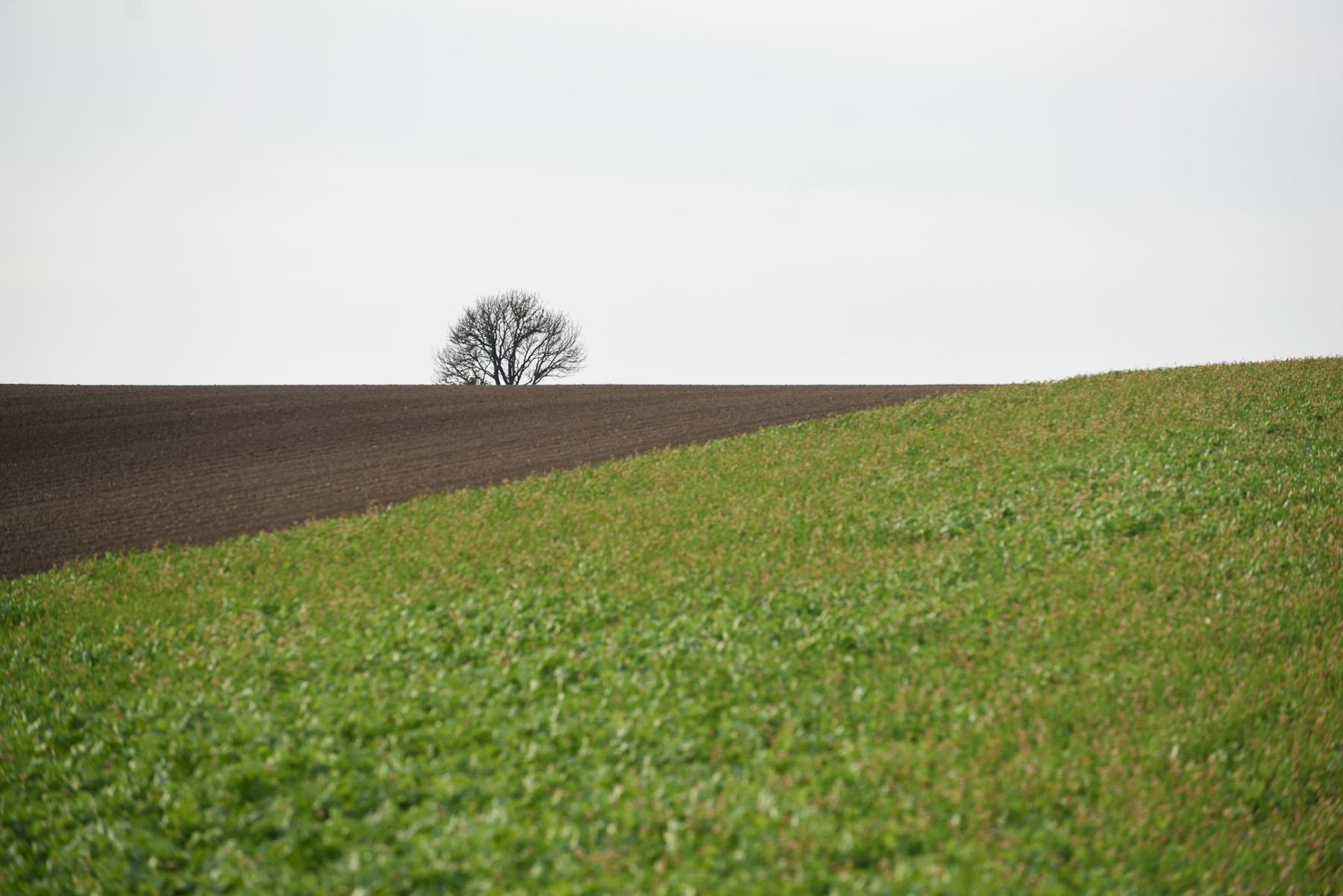 Forscher kritisieren ausbleibende Mittel für Klima- und Energiefonds