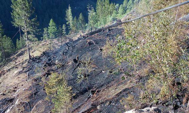 KAeRNTEN: WALDBRAND IM MOeLLTAL OFFENBAR UNTER KONTROLLE