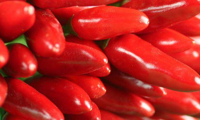 Chillischoten - red peppers