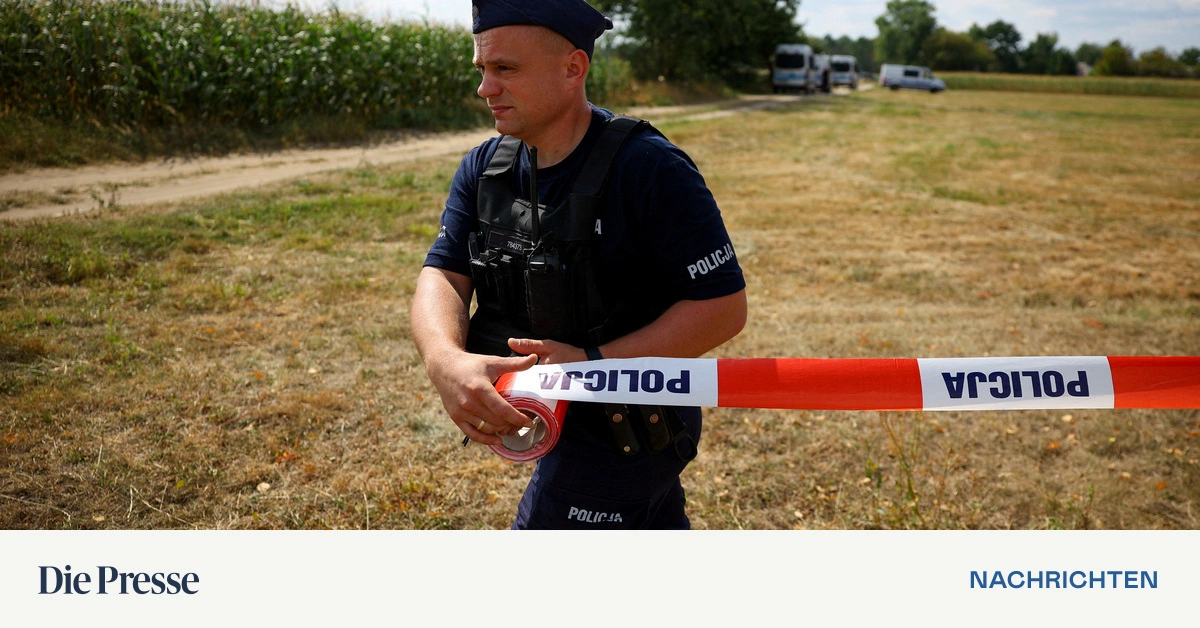 Polen-f-ngt-erneut-russisches-Aufkl-rungsflugzeug-ab