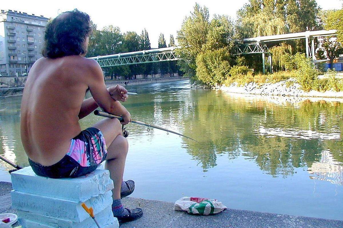 Gescheitert sind in Wien nicht nur Wintersportprojekte: Auch wenn es um den Wassersport ging, wurde weit mehr geplant als realisiert. Zum Beispiel ein Badestrand entlang des Donaukanals: Pläne dazu haben die Grünen 2008 präsentiert, inklusive Badebuchten, Holzstegen und Liegewiesen zwischen Spittelau und Rossauer Steg. Allerdings fehlte der Stadt schlussendlich dafür das Geld.