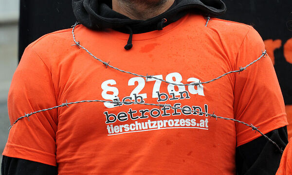 Der Mafia-Paragraf sorgte im sogenannten Tierschützer-Prozess für einiges Aufsehen.