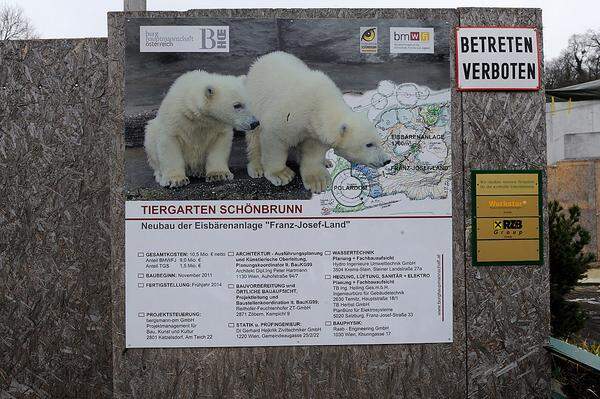 Die Bauarbeiten für das "Franz Josef Land" im Tiergarten Schönbrunn gehen in die Endphase: Im Mai oder Juni soll die Eisbärenanlage eröffnen. Die Außenanlage wird mit 1700 Quadratmetern Fläche drei Mal so groß sein wie das alte Gehege.