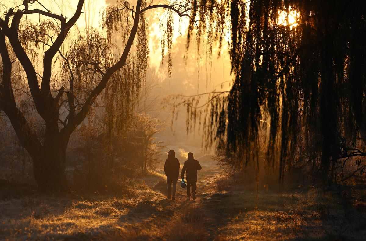 12. Juni. Zwei Männer wandern an einem frostigen Morgen durch einen Wald in der Nähe von Johannesburg, Südafrika. Auf der Südhalbkugel ist fast schon Winter. 