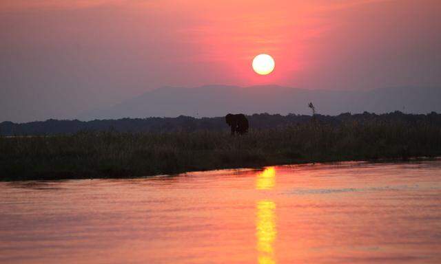 Der lange Tag in Chickwenya endet für uns mit einer Bootsfahrt auf dem Sambesi – überirdischer Sonnenuntergang inklusive.
