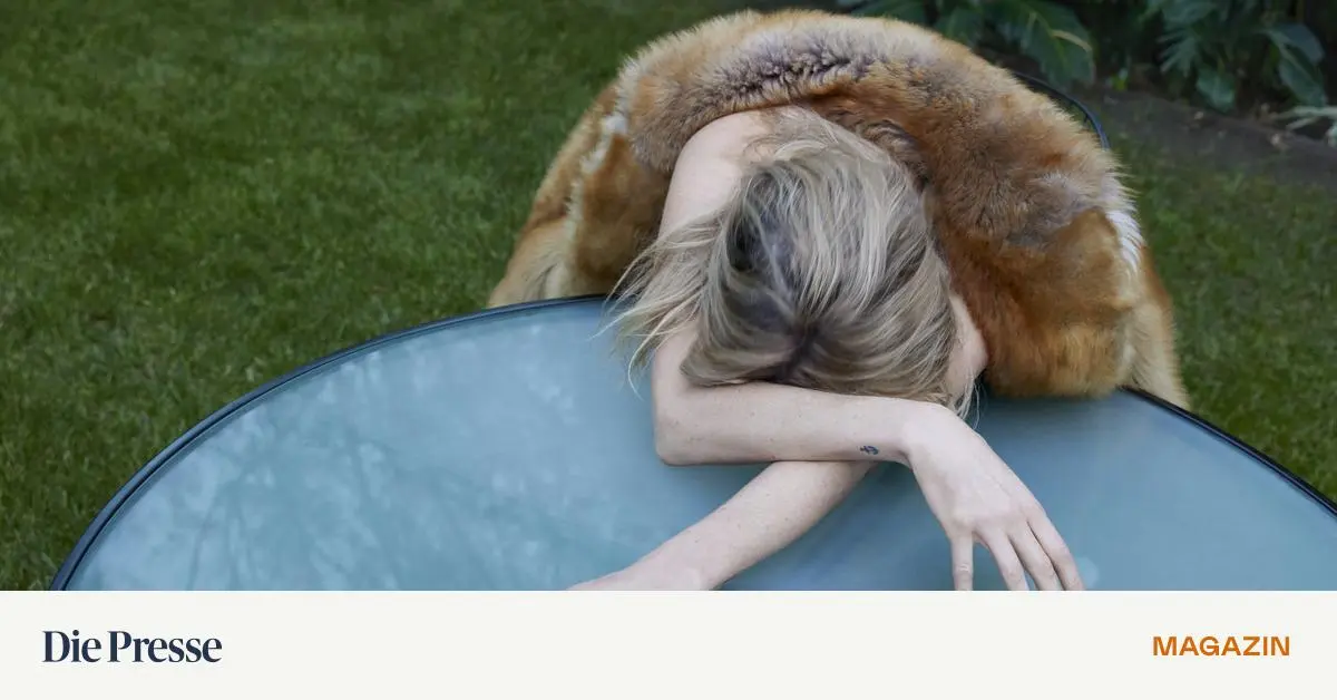 B-cherregal-statt-Kleiderschrank-die-sch-nsten-Prachtb-nde-f-r-Modefans-premium-