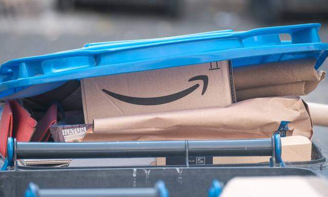 Der Onlinehändler Amazon schaffte die Verzehnfachung knapp nicht. 