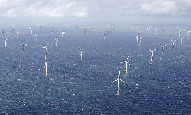 FILE PHOTO: Power-generating windmill turbines are pictured at the 'Amrumbank West' offshore windpark in the northern sea near the island of Amrum