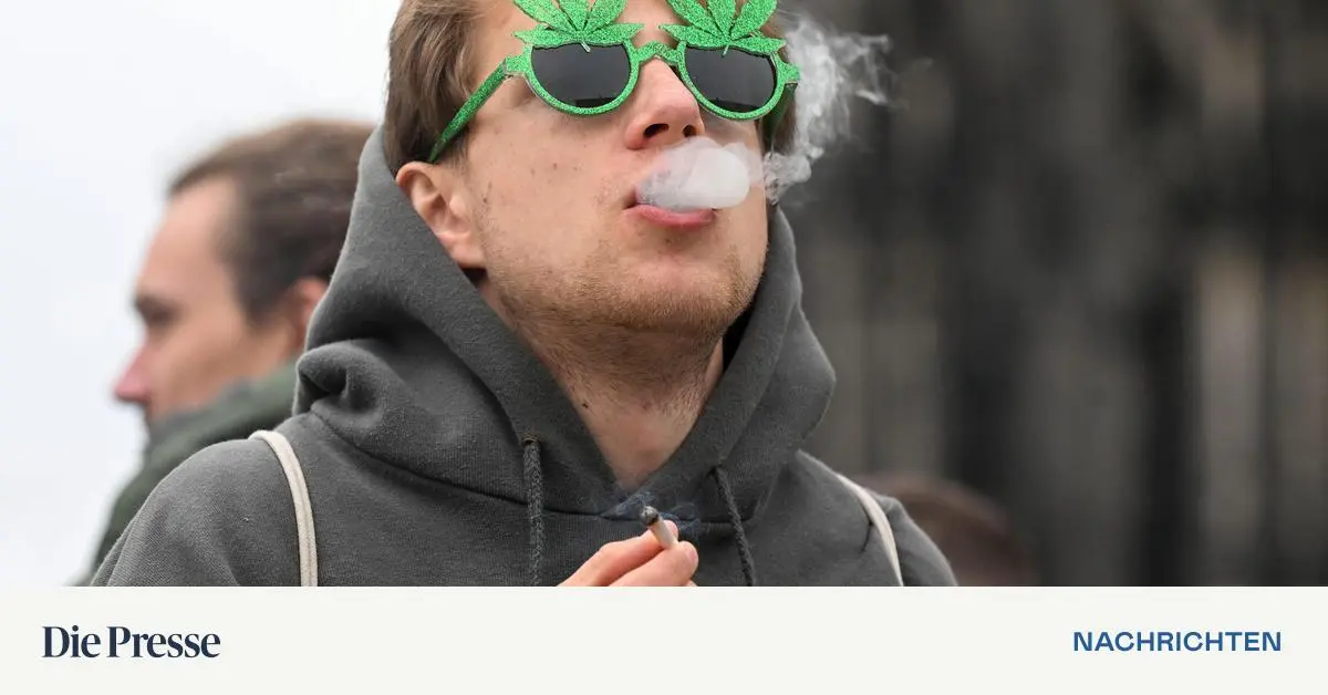 Gesetzes-nderung-soll-Verkauf-von-legalem-Hanf-in-Zukunft-regeln