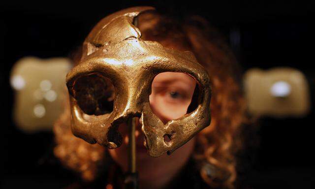 Ein Mädchen schaut durch den Schädel eines Neandertaler. Und er schaut mit: Gene von ihm sind in uns. 
