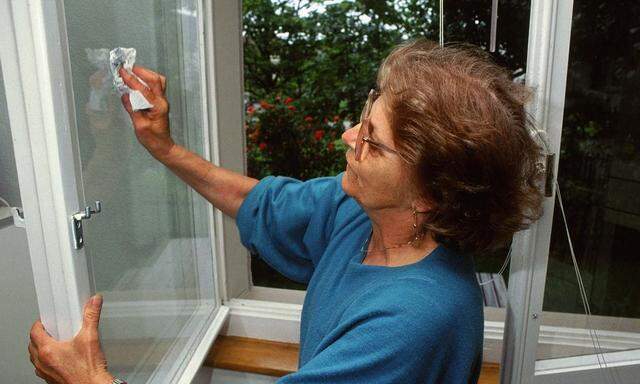 Frau putzt ein Fenster