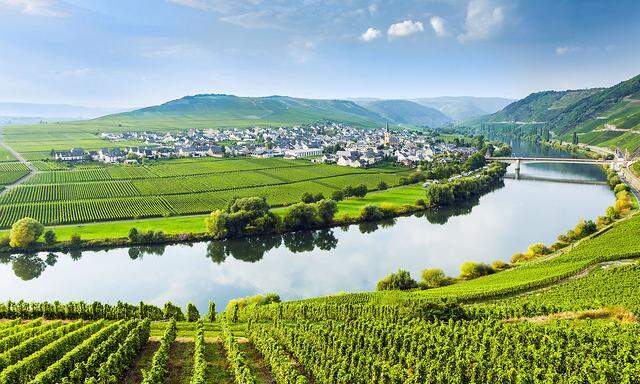 Die Reise führt entlang der Mosel zu den besten Weingütern der Region (links); ebenso wie Verkostungen steht ein Besuch der Altstadt von Trier (oben) auf dem Programm.