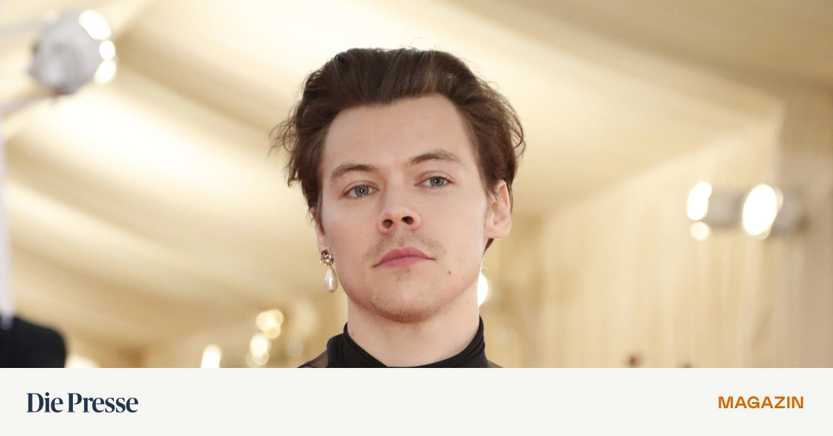 M-nnermoderevolution-Wenn-die-Looks-von-Harry-Styles-im-Supermarkt-erh-ltlich-w-ren-