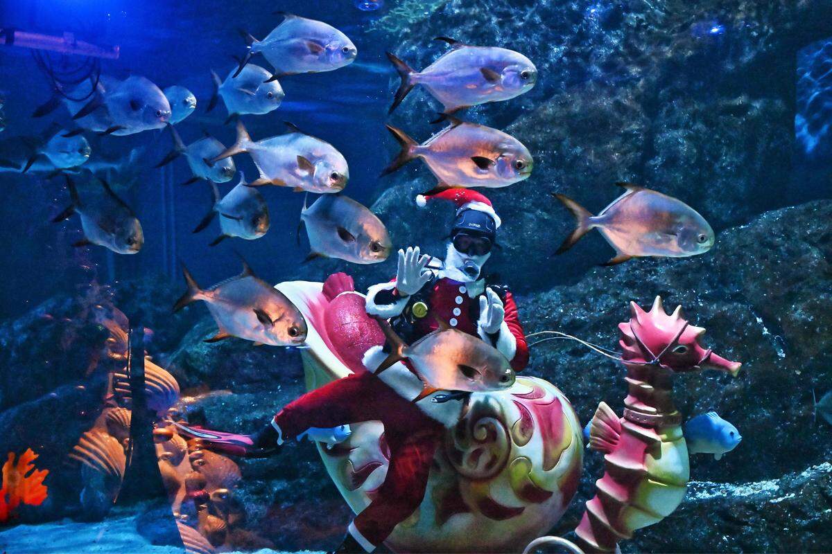 19. Dezember. Ein Weihnachtsmann taucht in einem Sea-Life-Aquarium in  Bangkok.