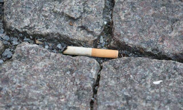 Zigarettenkippe Zigarettenstummel in einer Fuge zwischen Kopfsteinpflaster auf einem Gehweg Themen