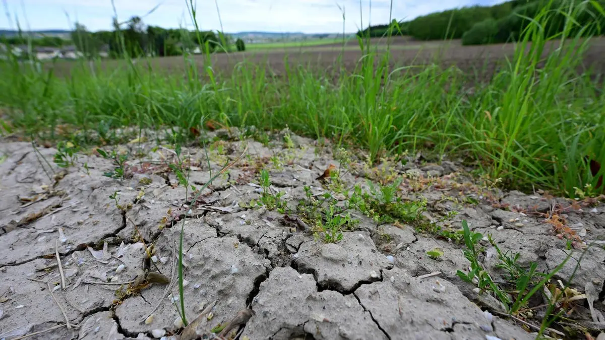 Trockenheit-l-sst-Verbund-Gewinn-um-ein-Drittel-einbrechen