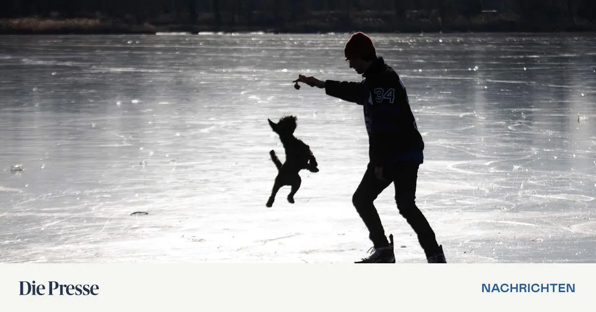 Kann-man-auf-der-Alten-Donau-eislaufen-premium-