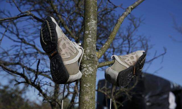 A pair of trainers hang to dry from branches of a tree