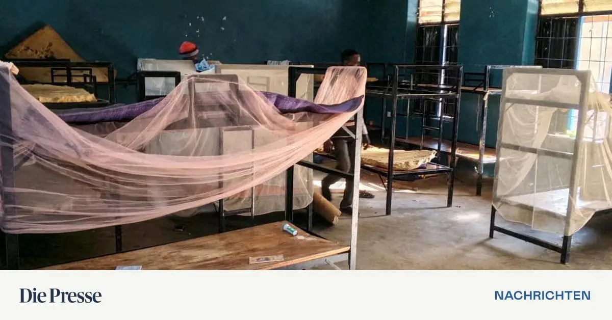 Nach-Entf-hrung-aus-Internat-100-nigerianische-Schulkinder-freigekommen