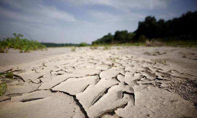 ItalyâAeOes longest river affected by worst drought in 70 years