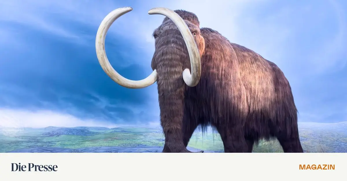 ein-mammut-jagt-man-nicht-allein