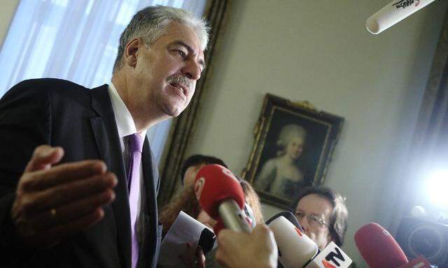 Austrian Finance Minister Schelling talks to journalists as he arrives for a cabinet meeting in Vienna