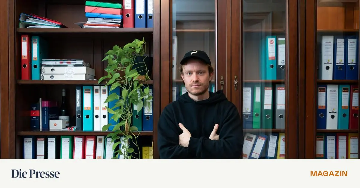 Das-Gesch-ftsmodell-der-Prozessfinanzierer-premium-