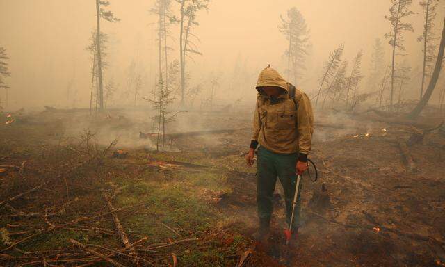 Die Taiga brennt: Verheerende Wald- und Torfbrände in Sibirien arteten in diesem Sommer in eine Umweltkatastrophe aus.
