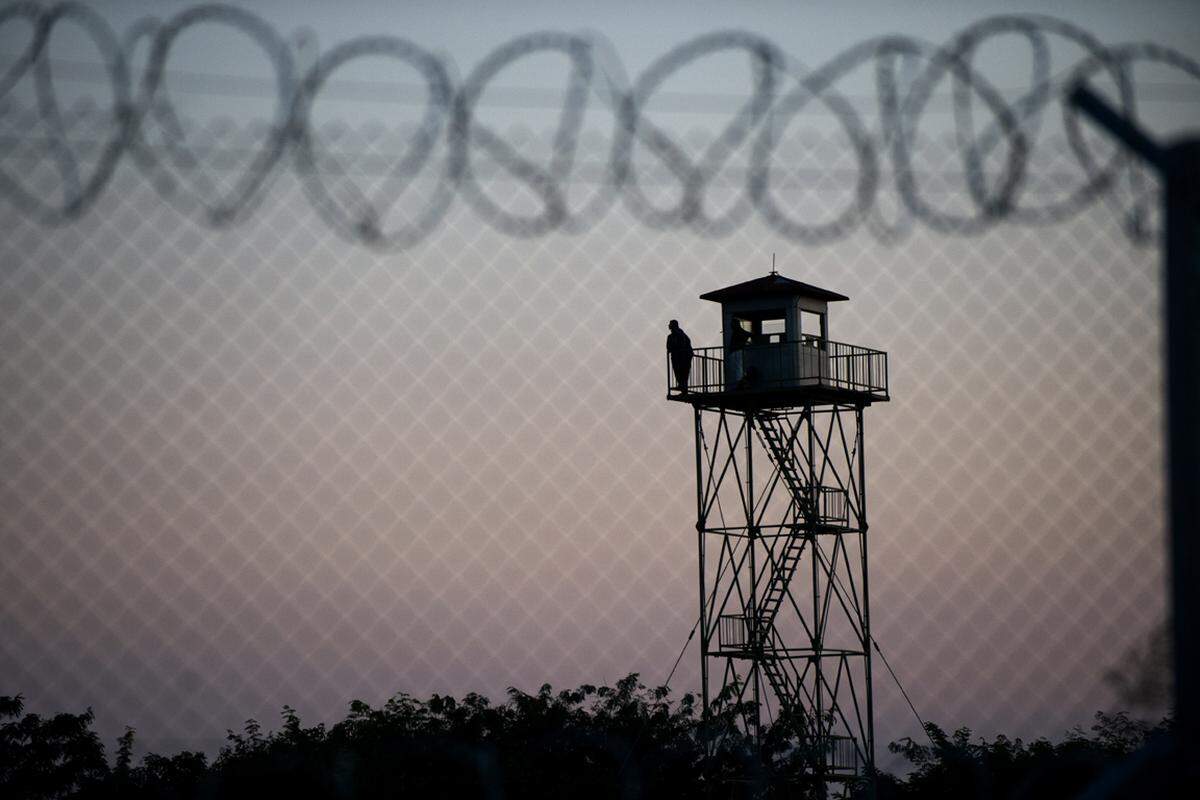 Bei den Fotoserien siegte Christian Bruna mit der Bild-Reportage "Auf der Flucht". Die für die Nachrichtenagentur Associated Press produzierte Serie zeigte Flüchtlinge auf ihrem Weg nach Österreich in Nickelsdorf, im ungarischen Röszke und im slowenischen Sentilj.