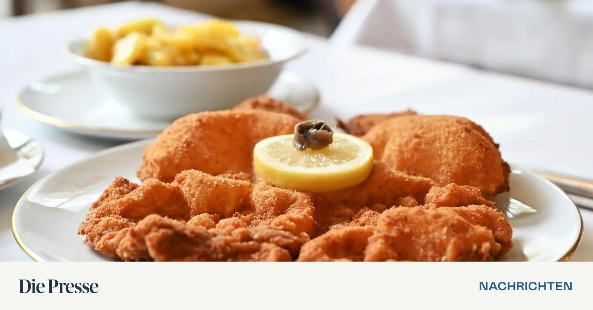 Politiker-darf-Bewirtung-nicht-voll-von-Steuer-absetzen-premium-