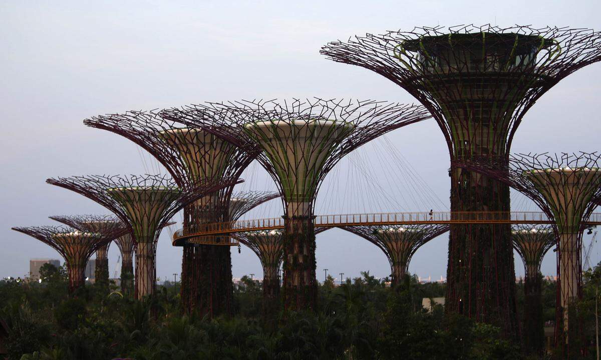 Gardens by the Bay ist ein 101 Hektar großes Parkgelände in Singapur. Dort stehen auch die sogenannten Super Trees, pflanzenbewachsene Stahlgerüste mit Höhen zwischen 25 und 50 Metern. Sie dienen unter anderem der Aufzucht von seltenen Pflanzen. Ein Skyway verbindet sie.