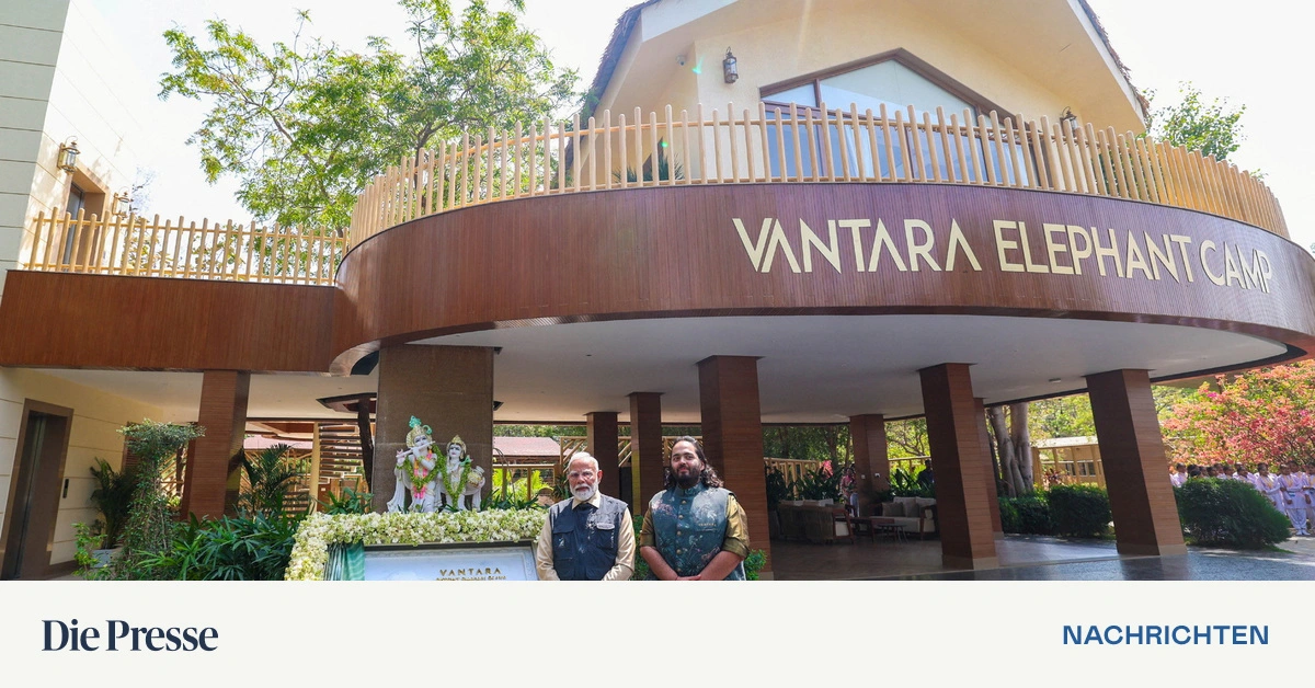 Indischer-Milliard-rssohn-will-Escobars-80-Flusspferde-aufnehmen